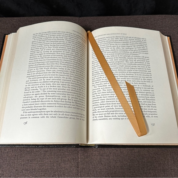 The Odyssey • Homer | Collector’s Edition - Picture 13 of 15